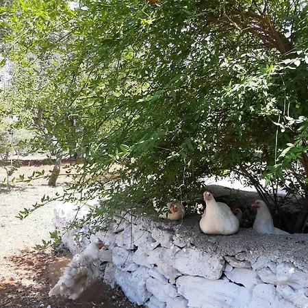 Trullo Fellone 빌라 *
